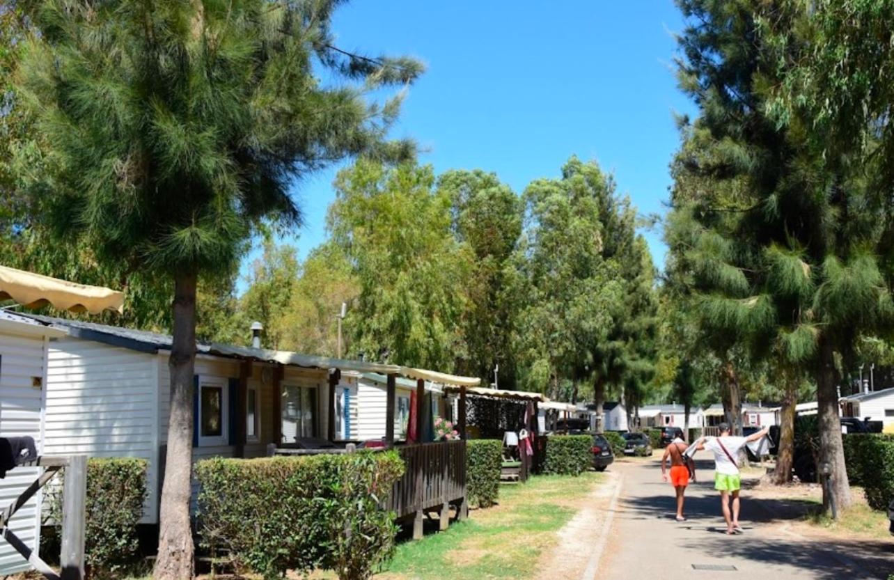 Mobil-home Neuf 6 A 8 Pers Au Les Palmiers, Camping *
